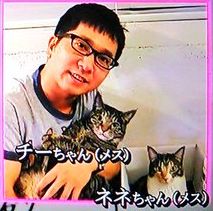 ミキ亜生 猫が好きすぎて保護活動 猫好き芸人トップ4