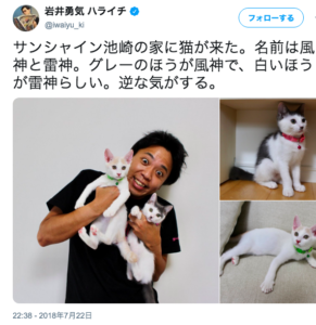 ミキ亜生 猫が好きすぎて保護活動 猫好き芸人トップ4